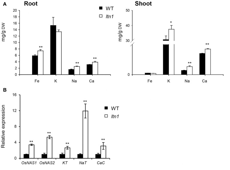 Figure 6