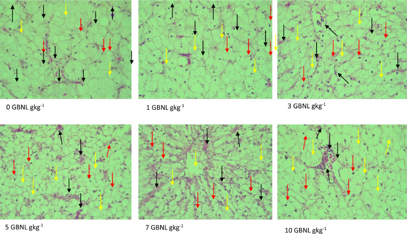 Fig. 6: