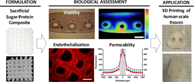 Image, graphical abstract