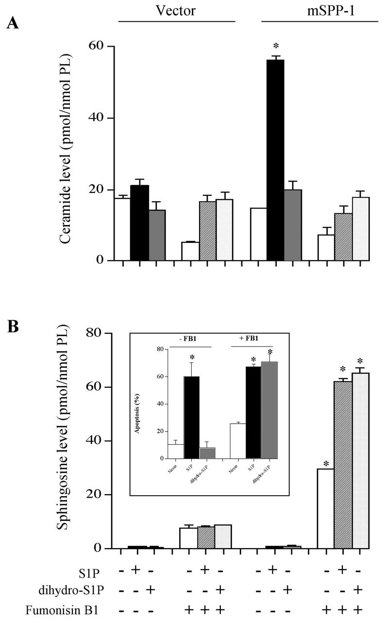 Figure 9.