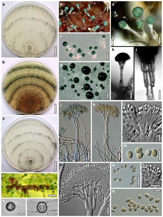 Fig. 78