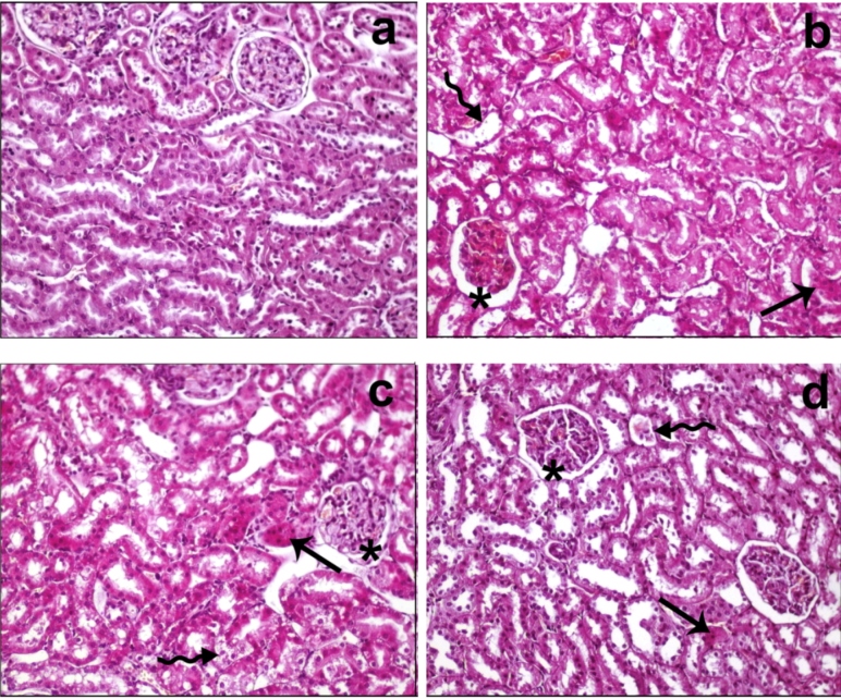 FIGURE 1: