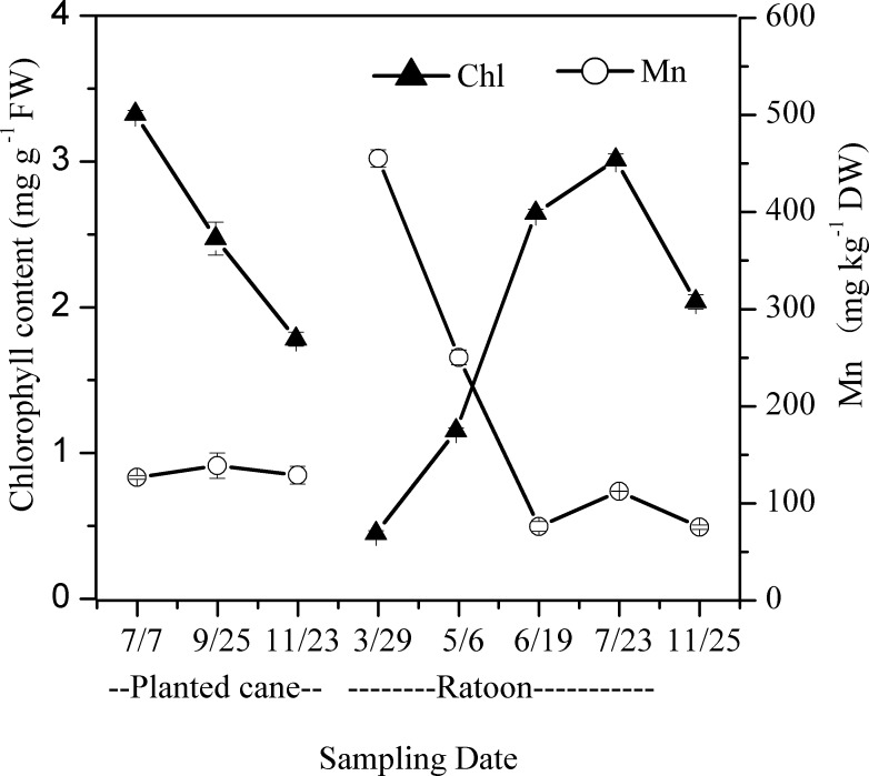 Fig 6