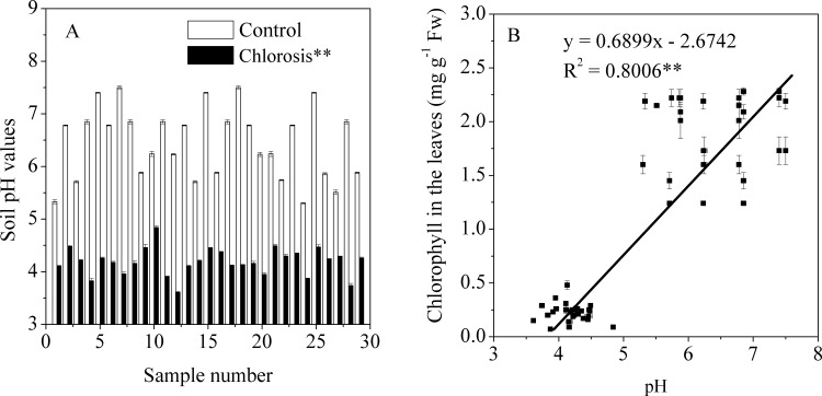 Fig 10