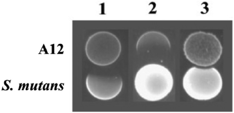 Figure 3.