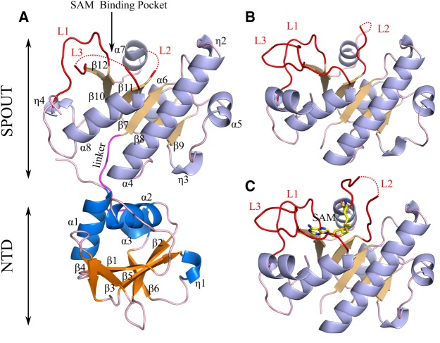 FIGURE 3.