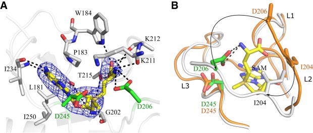 FIGURE 4.