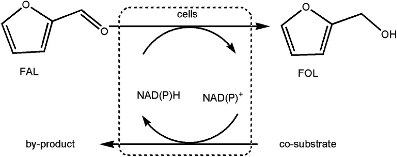 Scheme 2