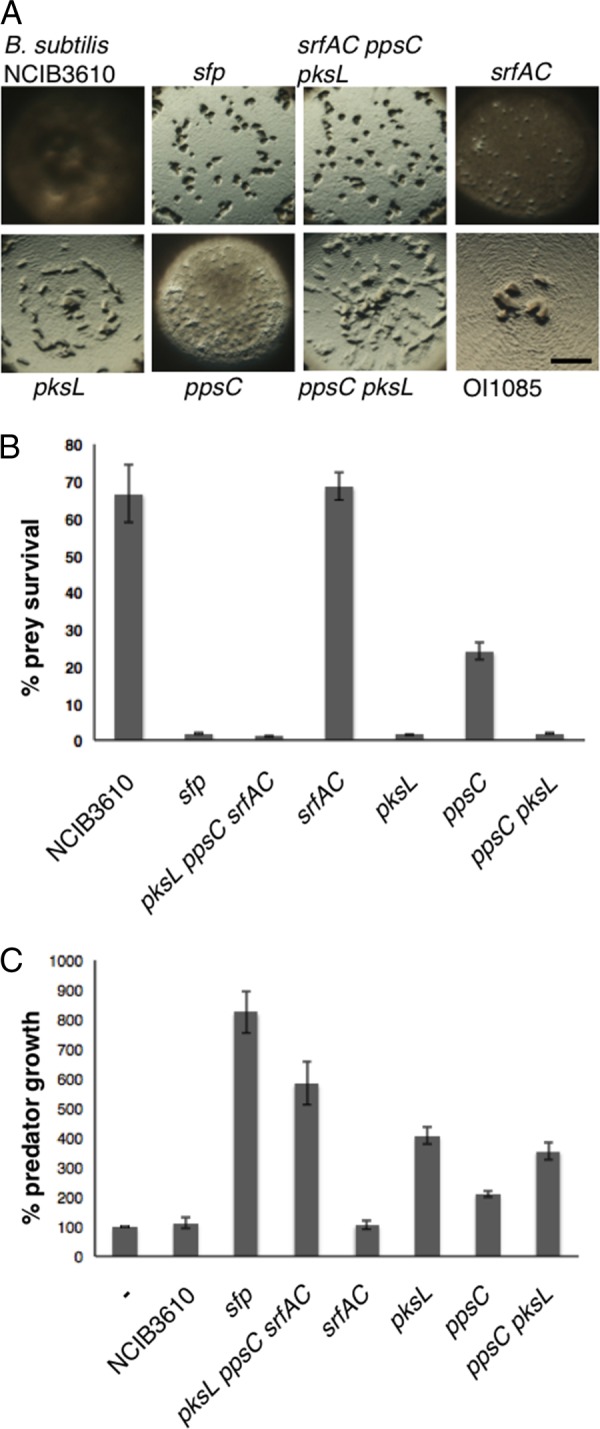 FIG 3