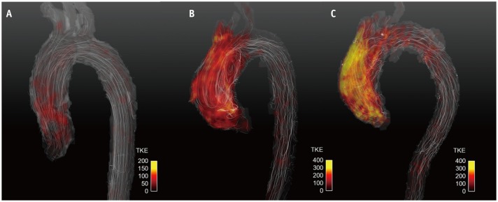 Fig. 13