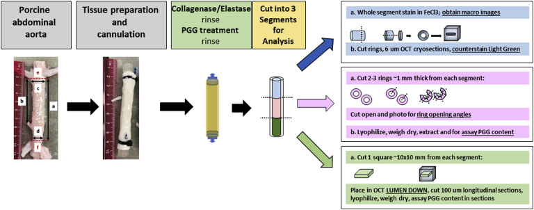 Fig 1