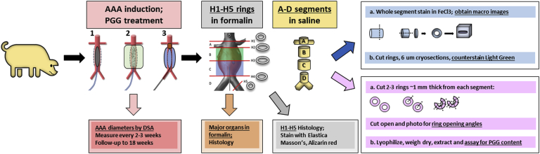 Fig 2