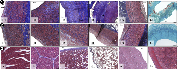 Fig 6