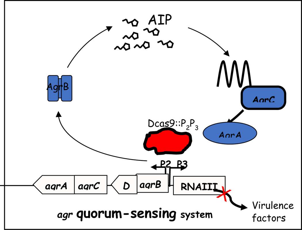 Fig. 3.