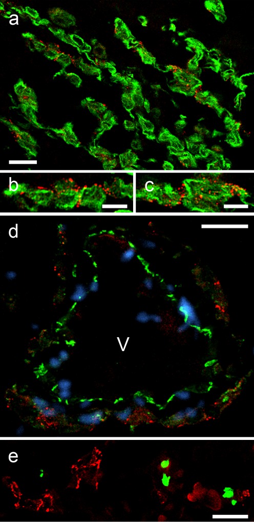 Fig. 9