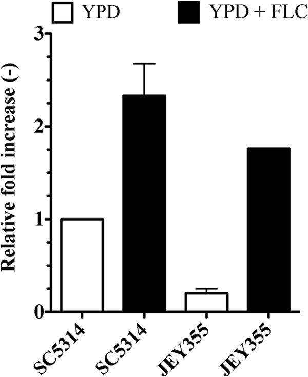 Fig 4