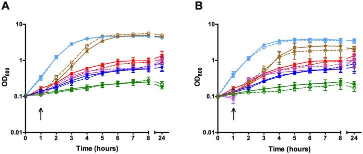 Fig 6