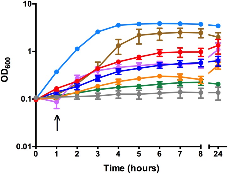 Fig 1