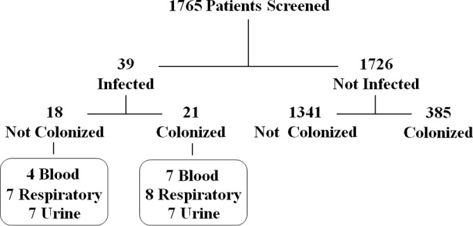 FIG 1 