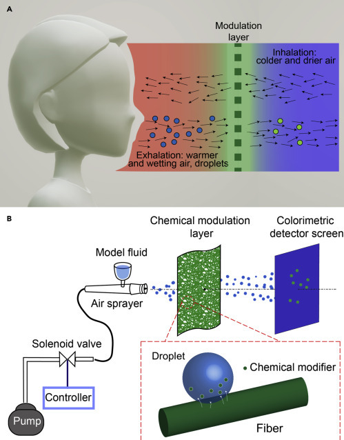 Figure 2