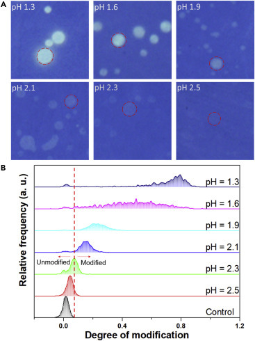 Figure 7