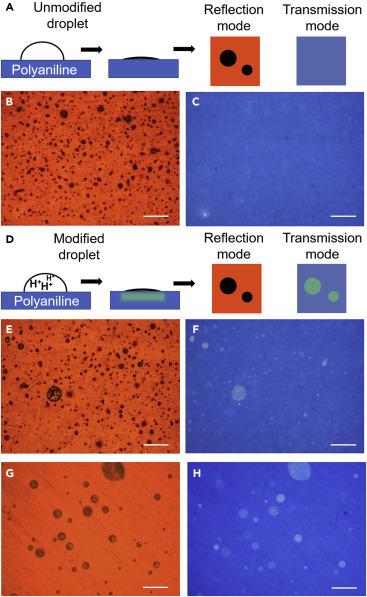 Figure 5