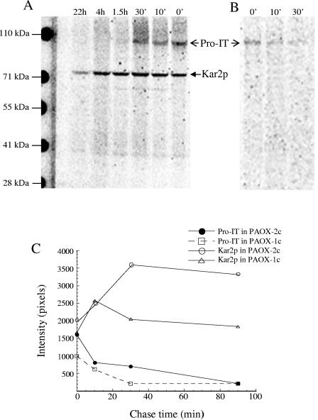 FIG. 7.