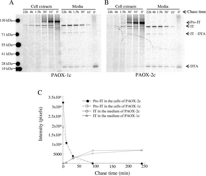 FIG. 6.