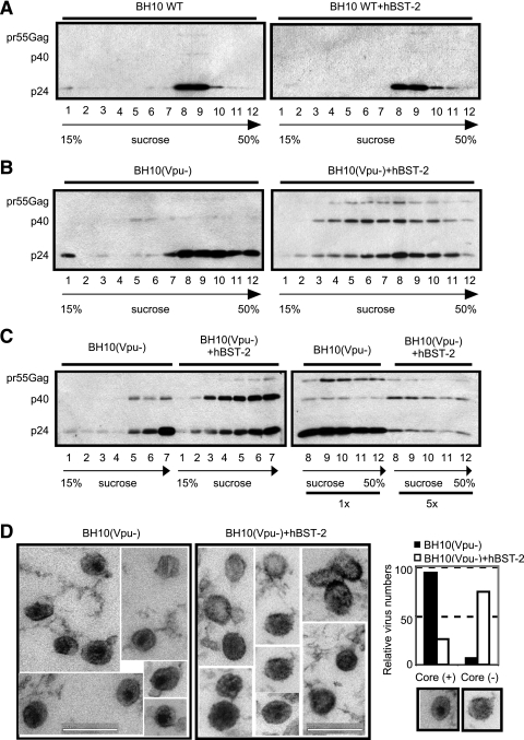 FIG. 7.