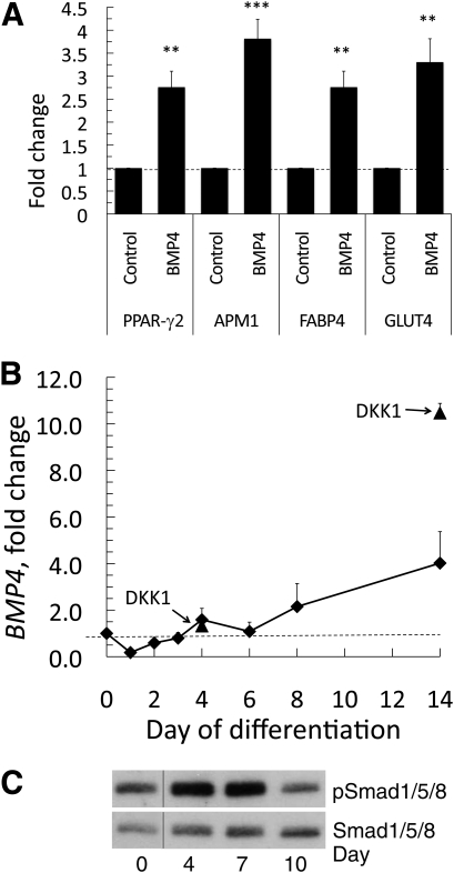 FIG. 5.