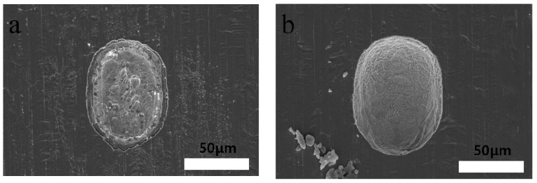 Figure 11