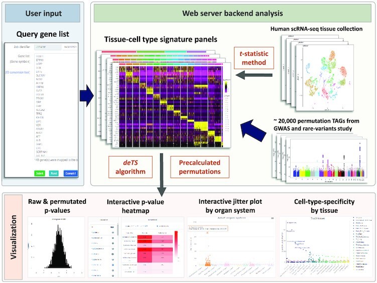 Graphical Abstract