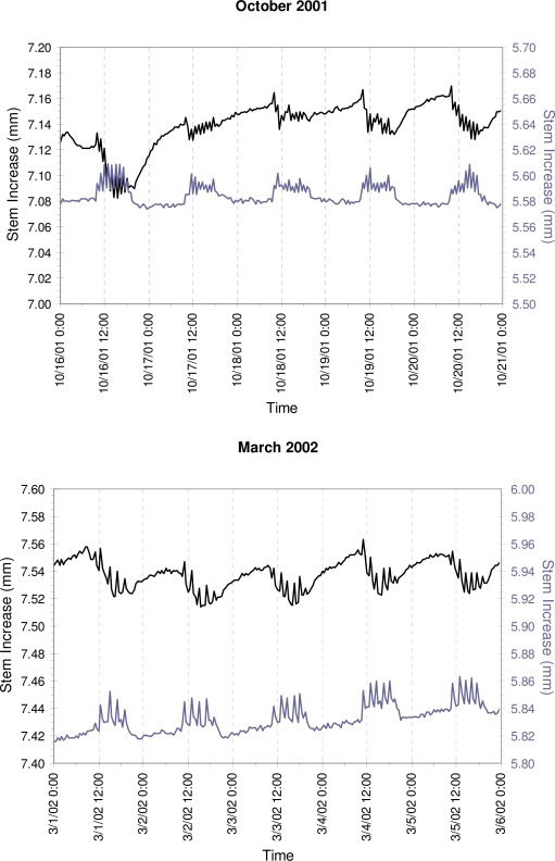 Figure 4(a).