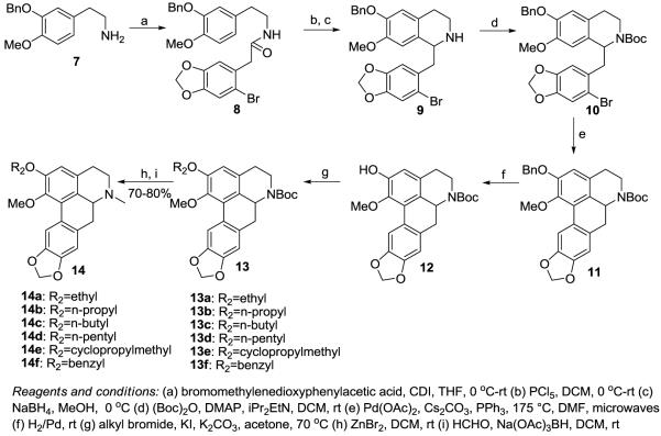 Scheme 1