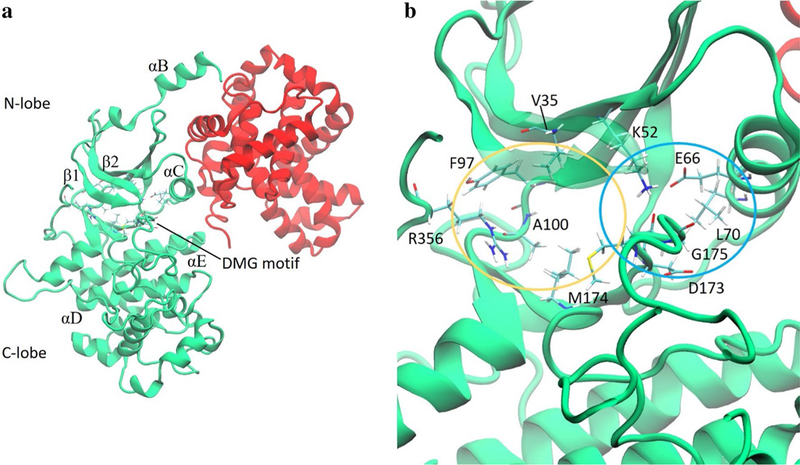 Fig. 1