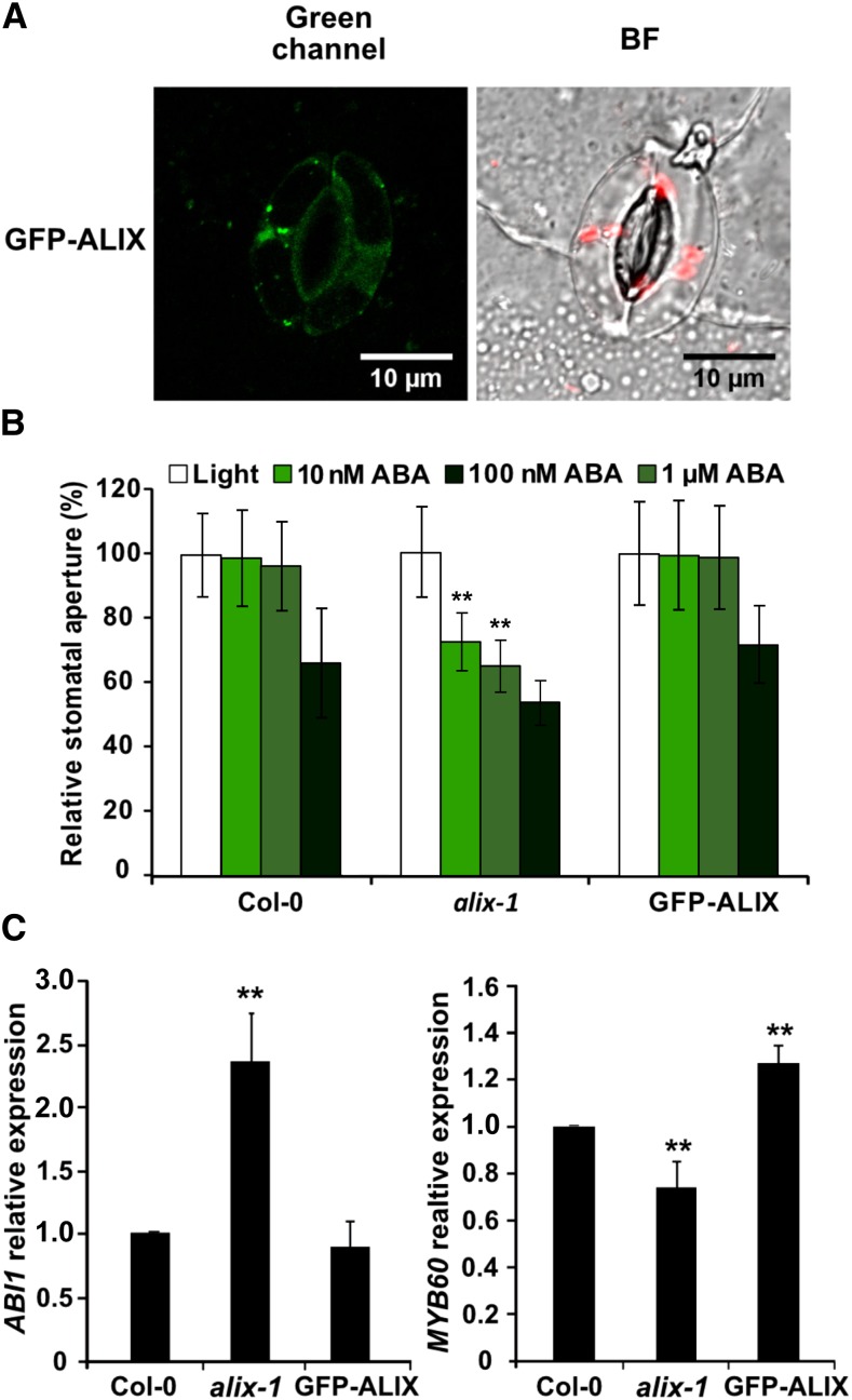 Figure 4.