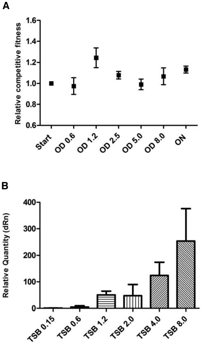 FIG 2 