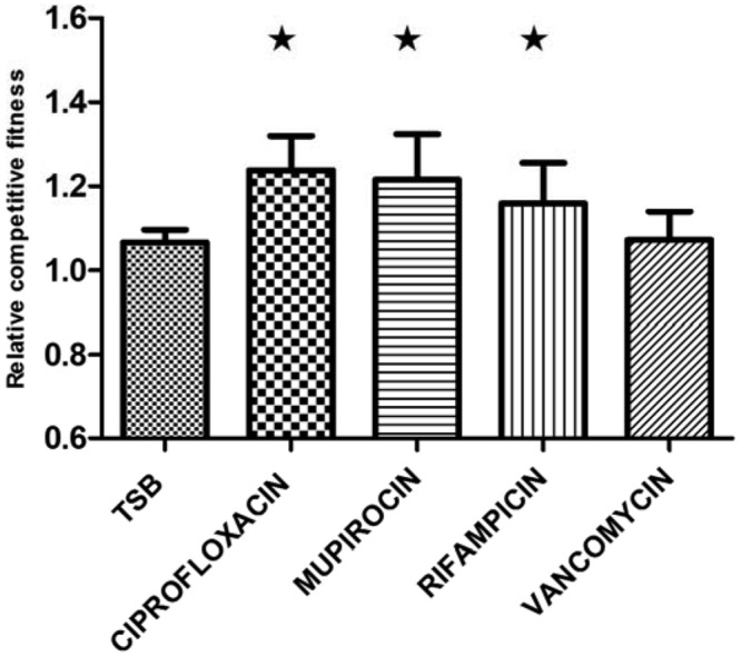 FIG 1 