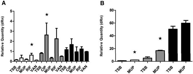 FIG 4 