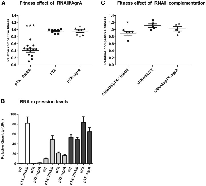 FIG 3 