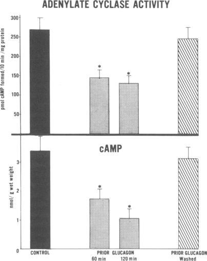 graphic file with name jcinvest00145-0202-a.jpg