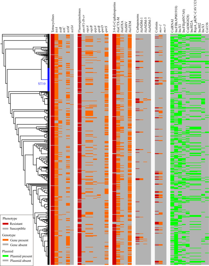 Fig. 3