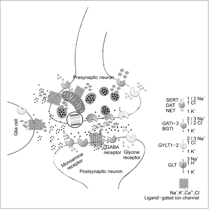 Fig. 1