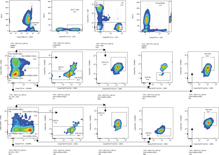 Figure 2