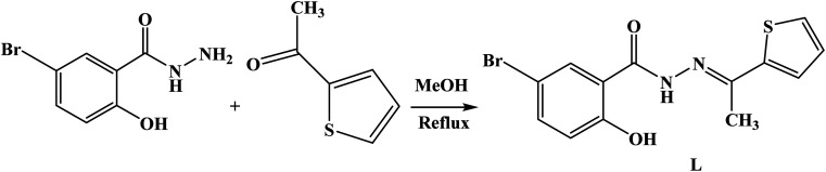 Scheme 1