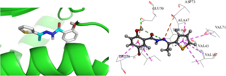 Fig. 8