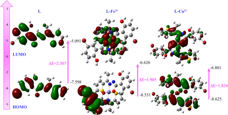 Fig. 10