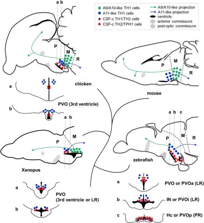 Figure 12