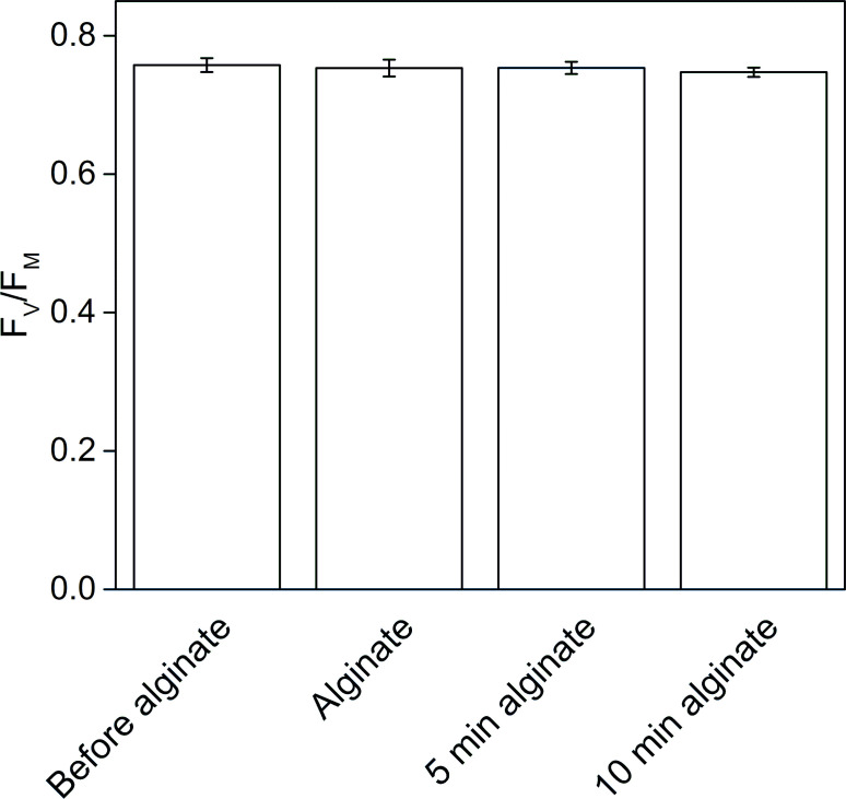 Figure 5—figure supplement 1.