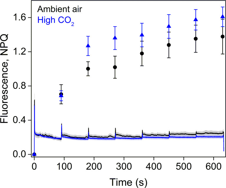 Figure 8—figure supplement 1.